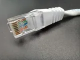White Cat 5e network cable with a clear RJ45 plug showing the colored twisted pairs
