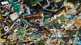 Shredded circuit boards and electronic parts in a recycling bin